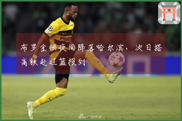 布罗金顿夜间降落哈尔滨，次日搭高铁赴辽篮报到