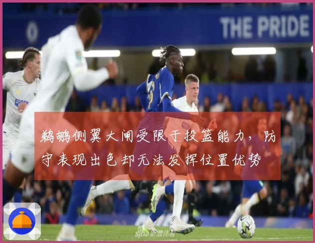 鹈鹕侧翼大闸受限于投篮能力，防守表现出色却无法发挥位置优势